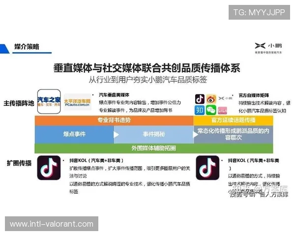 用户生成内容成为品牌传播的重要补充